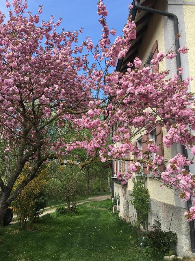 Wangen im Allgäu Ferienhof Weber Nieratz מראה חיצוני תמונה