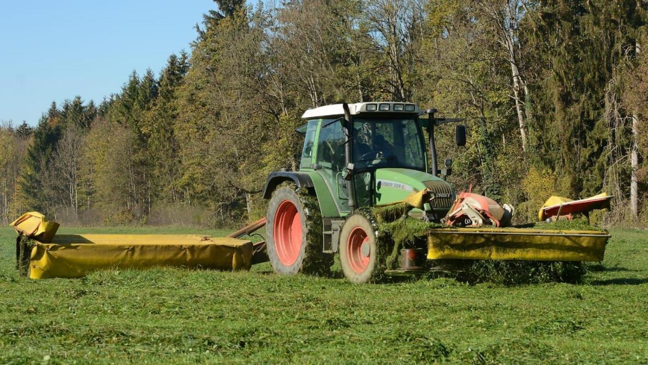 Wangen im Allgäu Ferienhof Weber Nieratz מראה חיצוני תמונה