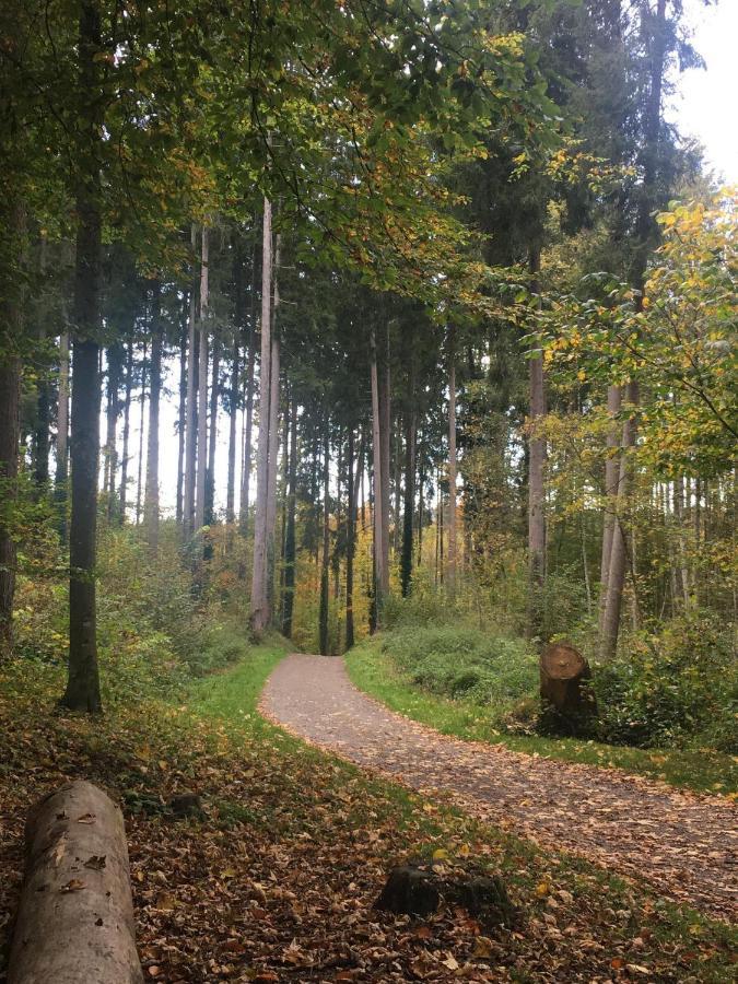 Wangen im Allgäu Ferienhof Weber Nieratz מראה חיצוני תמונה