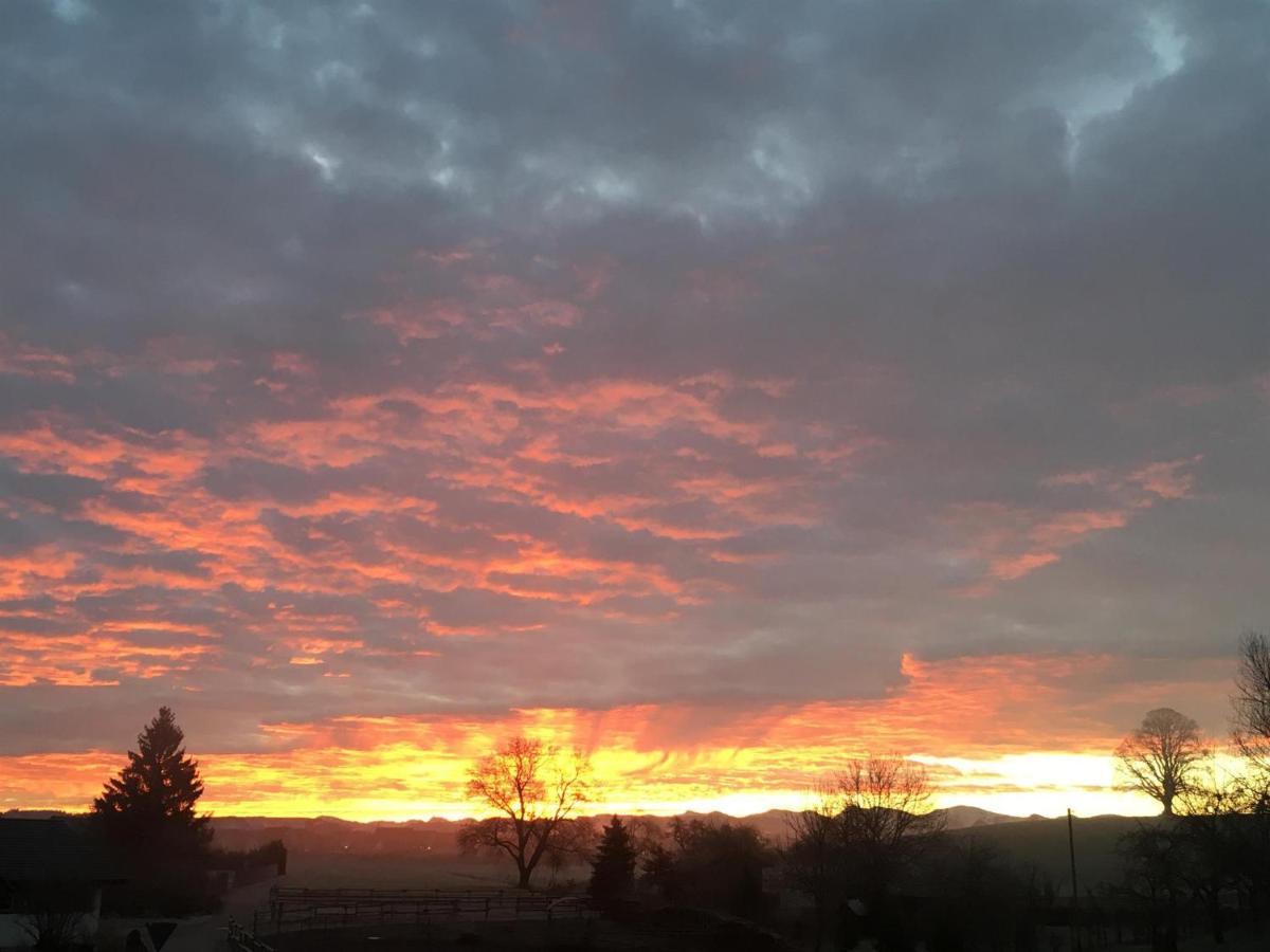 Wangen im Allgäu Ferienhof Weber Nieratz מראה חיצוני תמונה
